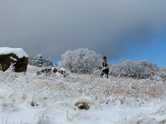 Controlling the Controllables